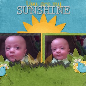 You are My Sunshine