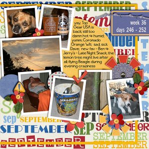 2013 - Week 36