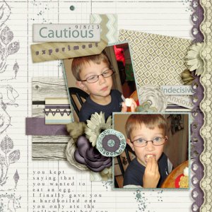 cautious experiment