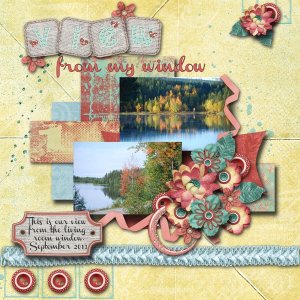 View_from_my_window