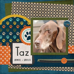 In Memory of Taz