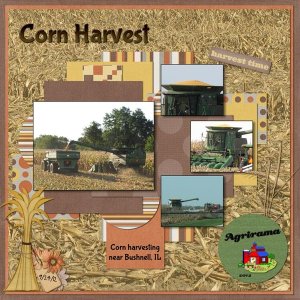 Corn Harvest