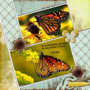 gs-sept-designer_viola