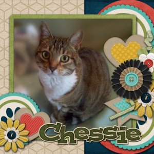 Chessie