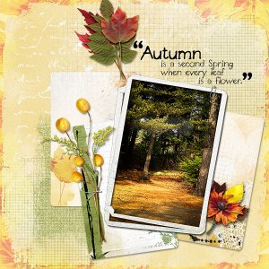 Autumn