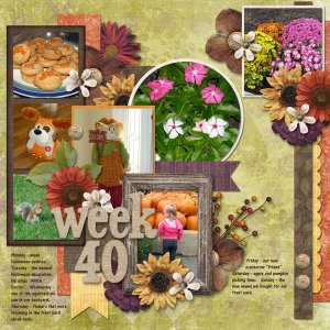 Week 40