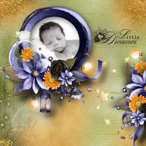 Of dreams and Dreamers - Feli