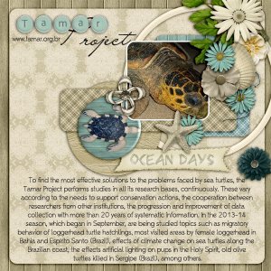 Tamar Project