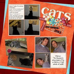 Cats