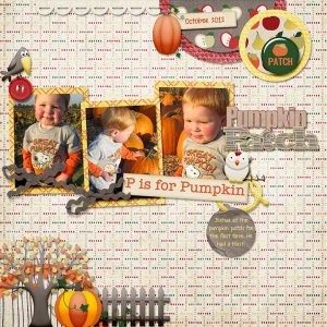 Pumpkin Patch