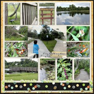 Shadowbay Park