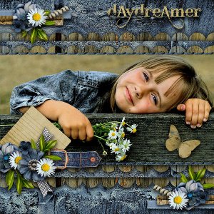 Daydreamer