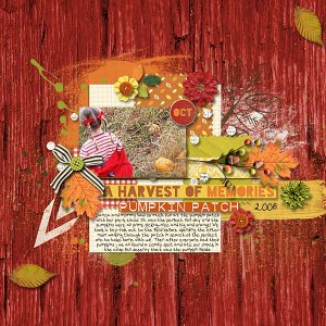 Harvest of Memories, Pumpkin Patch