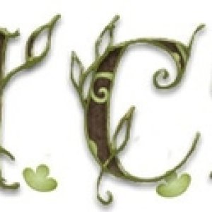 Signature_Challenge