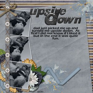 6-Case_upside_down_2012