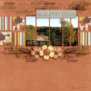 Autumn Bliss