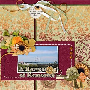 A Harvest of Memories