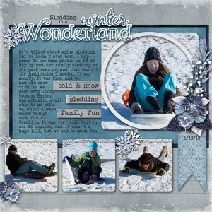 Sledding in a Winter Wonderland