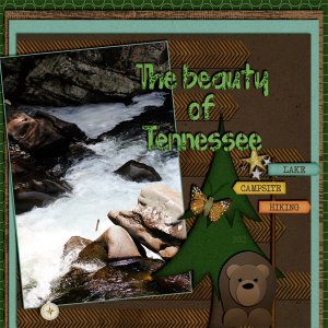 The Beauty of Tennessee