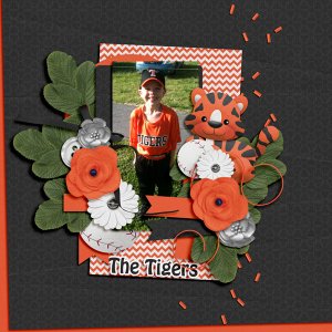 We Are The Tigers