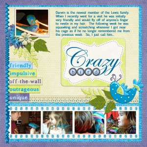Crazy Bird