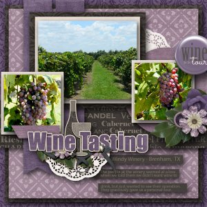 Wine Tasting