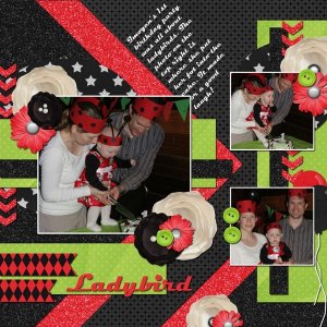Ladybird