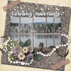 Frosty_morning