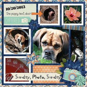 Sunday, Photo, Sunday
