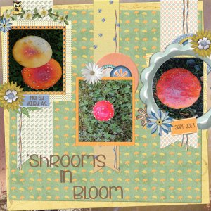 shroomsinbloomAK_tmb