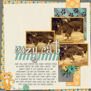 Cozy Cat