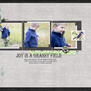 joy in a grassy field