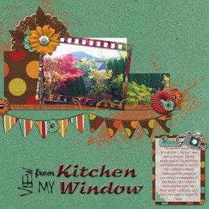 Kitchen Window