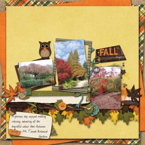 Fall Days