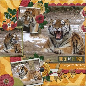 tiger