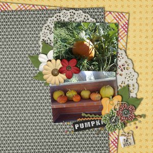 pumpkins