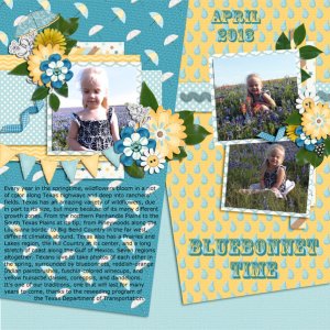 Bluebonnet Time