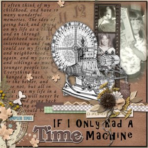 If I Only Had a Time Machine