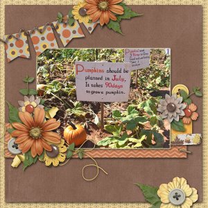 Pumpkin Instructions