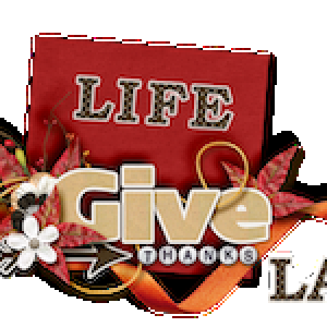 November Siggy Challenge
