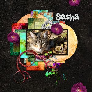 Sasha