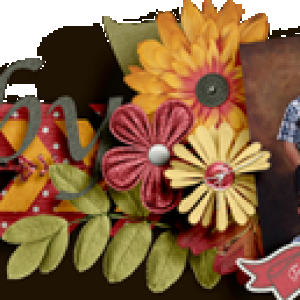 November siggy