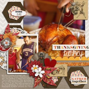 Thanksgiving Turkey