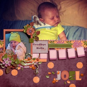 Fall_Joel