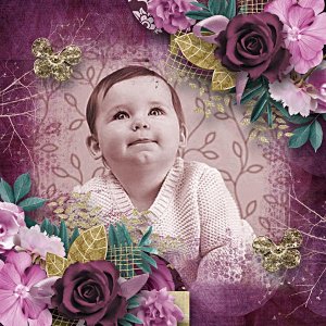 BD-SweetRose