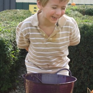 Apple Bobbing at its Finest