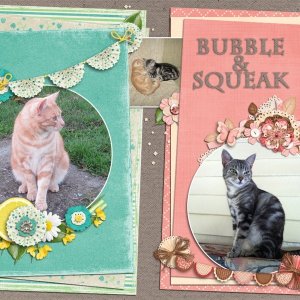 Bubble + Squeak