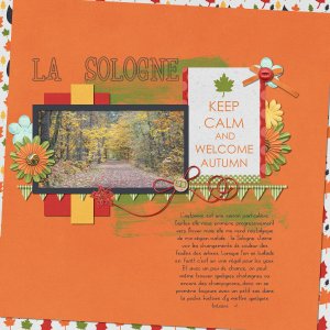 La Sologne