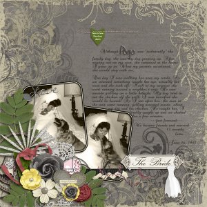 Oz 4 My Wedding Day and Pogo
