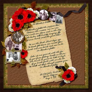 In Flanders Fields